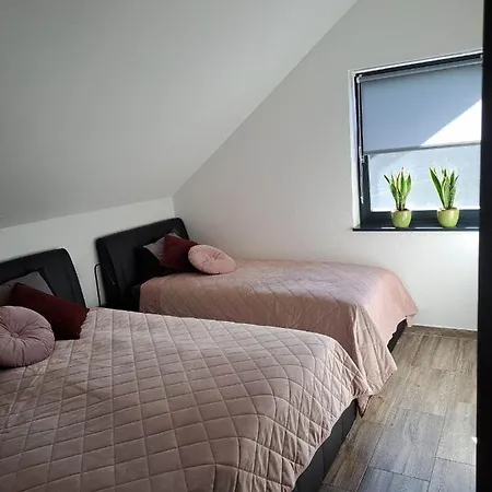 Apartmaji Tisa In Zana Rovte Exterior photo