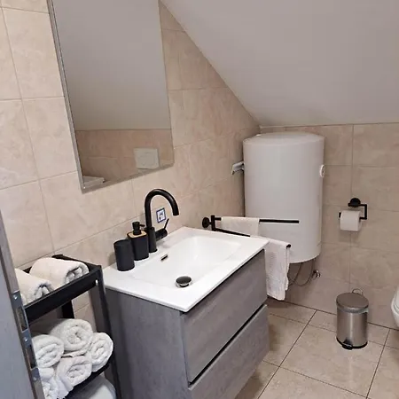 Apartmaji Tisa In Zana Rovte Exterior photo
