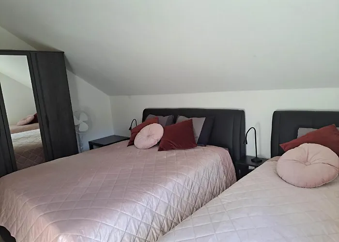 Apartmaji Tisa In Zana