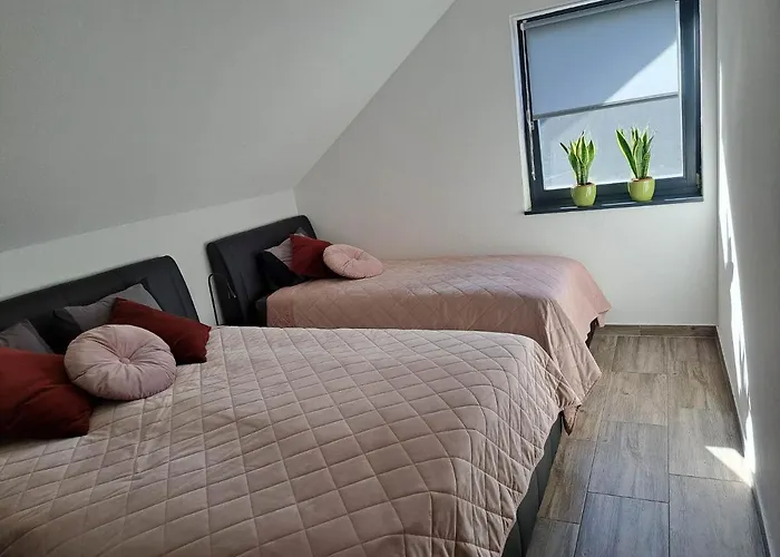 Apartmaji Tisa In Zana
