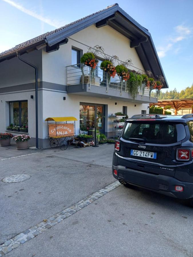 Apartmaji Tisa In Zana Apartment *