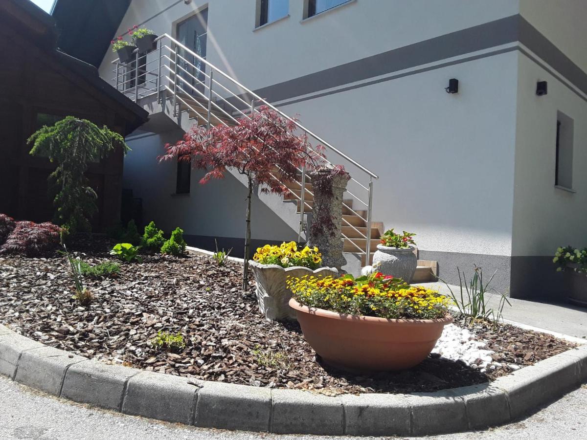 Apartmaji Tisa In Zana