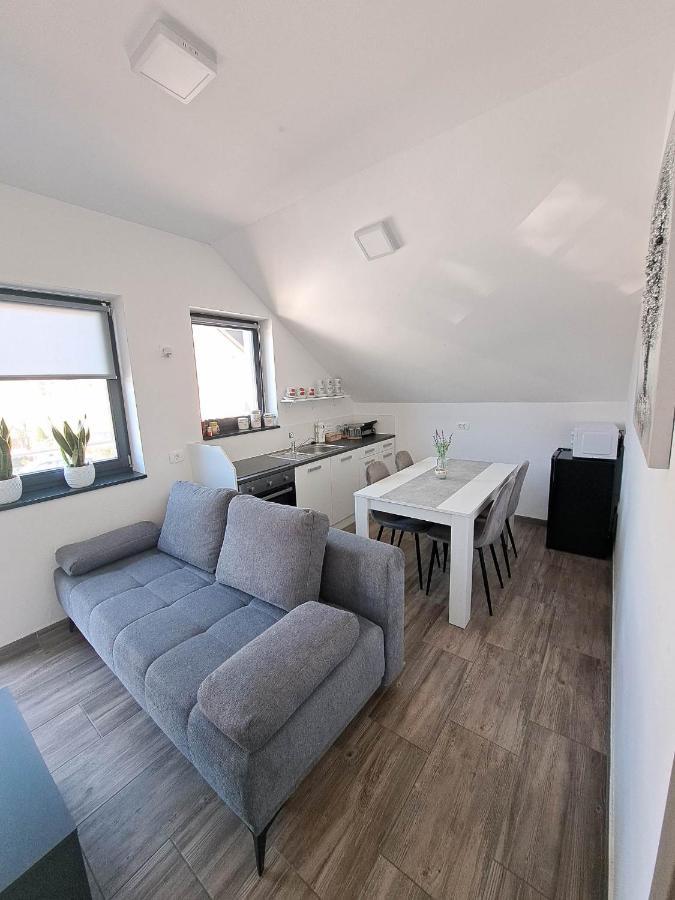 Apartmaji Tisa In Zana Apartment Rovte