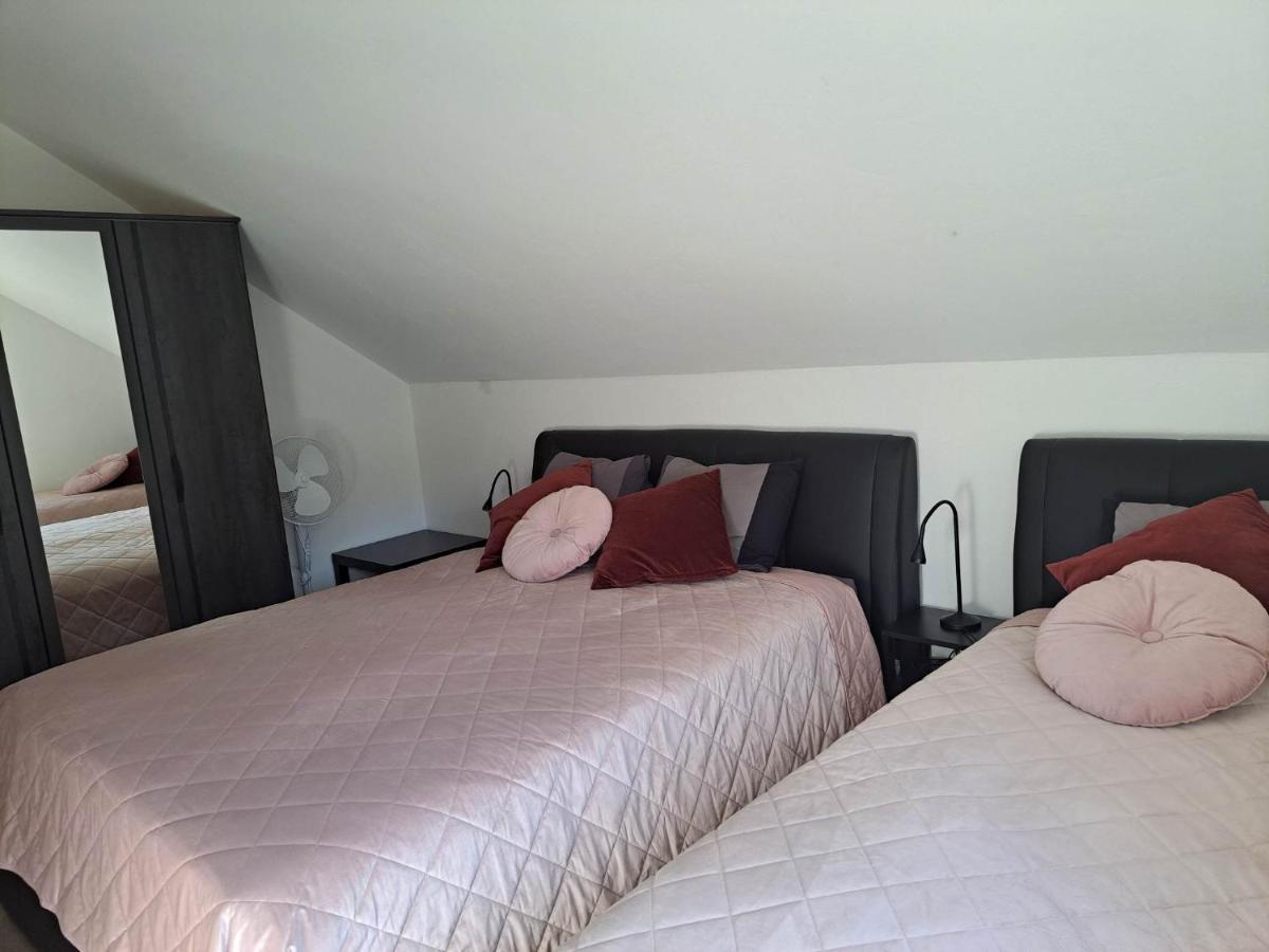 Apartmaji Tisa In Zana *