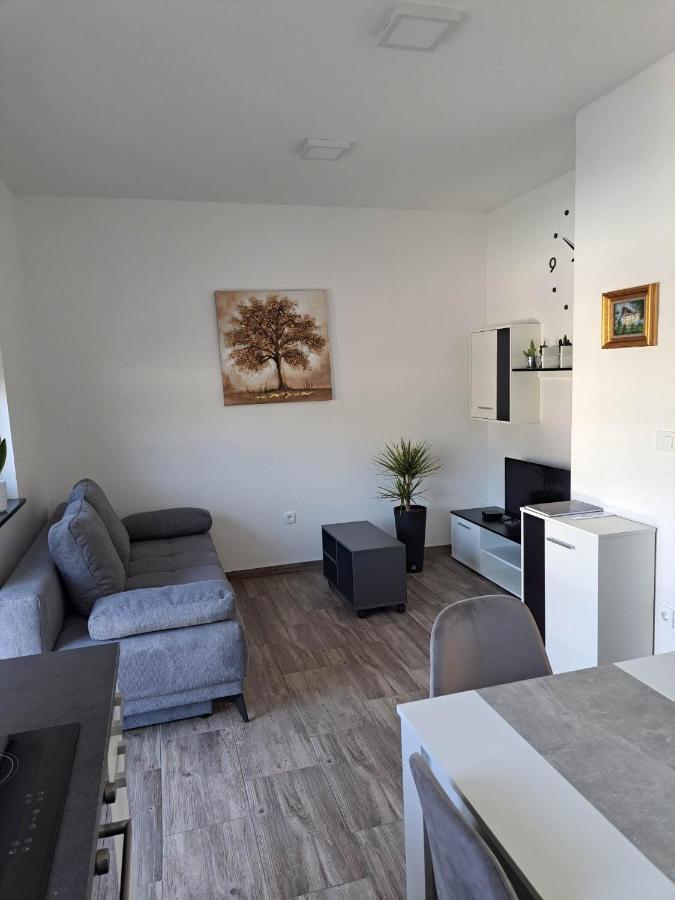 Apartmaji Tisa In Zana Rovte