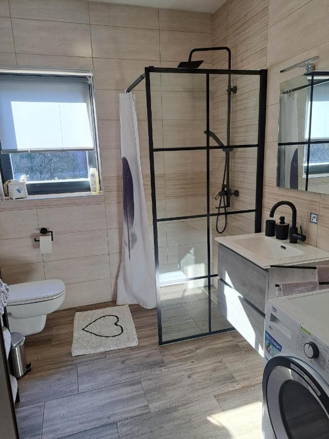 Apartmaji Tisa In Zana Rovte